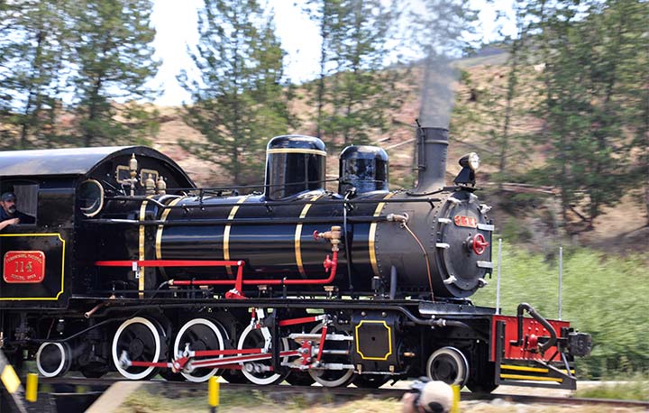 Excursiones y actividades