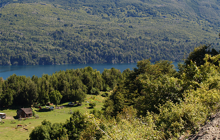 Excursiones y actividades